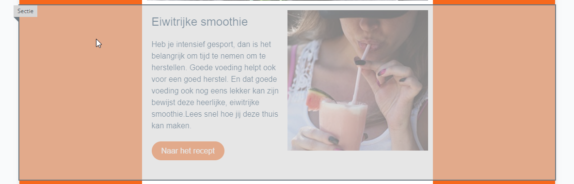 Sectie.png