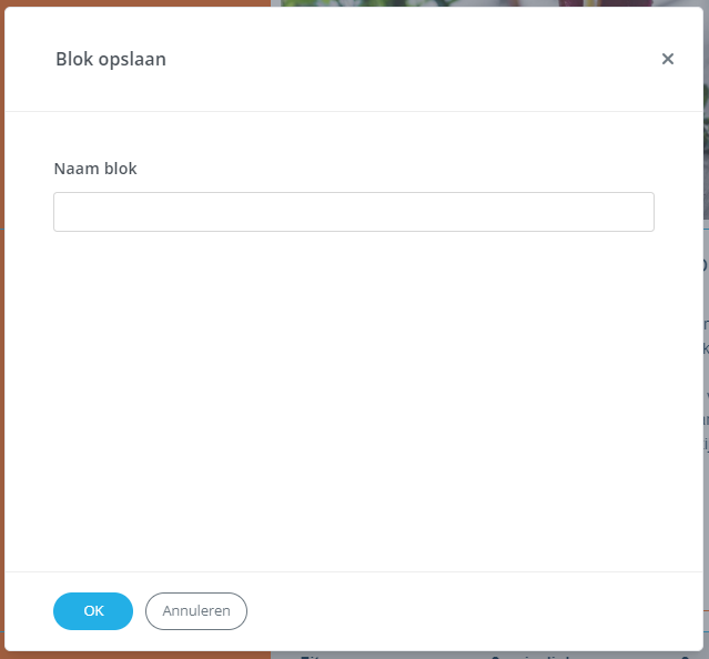 Pop-up_Blokopslaan.png