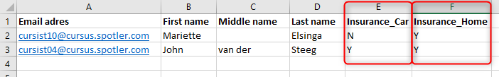 Module_Lijsten_Bestand_Voorbereiden_voorbeeld_bestand_juist_ENG.png
