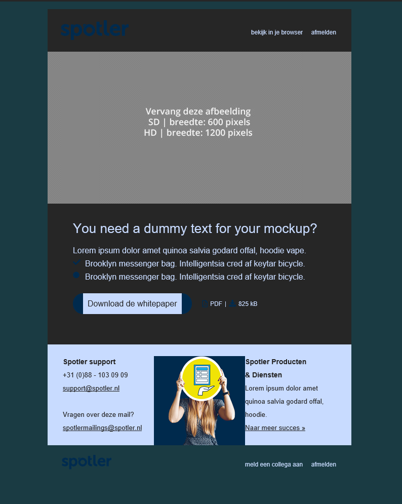 Litmus_zonderaanpassingen_Zendesk.png