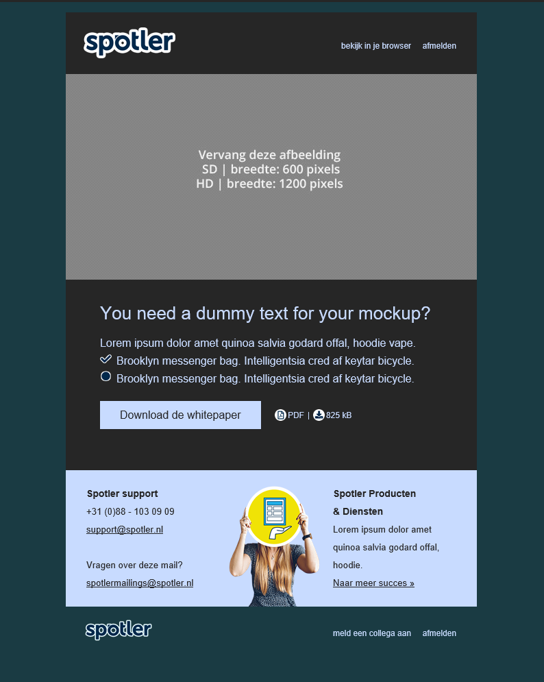 Litmus_metaanpassingen_Zendesk.png